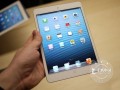 7.9英寸A5雙核 iPad mini超低冰點價(圖)