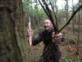 92歲老人41年種樹50多萬株 2500畝荒山變綠