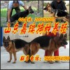 資訊：新密弓背
蘇聯(lián)紅犬√低價(jià)出售