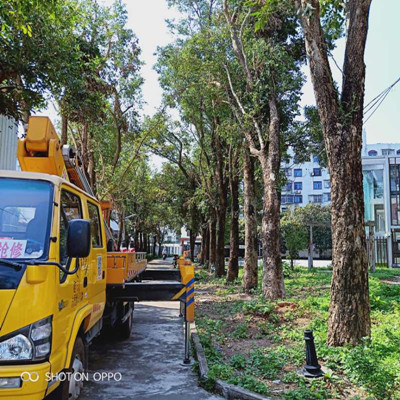 龍崗高空安裝車租賃公司歡迎您