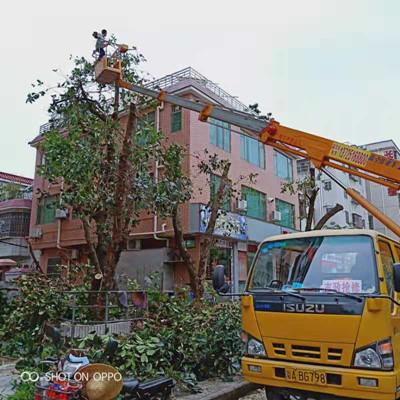 廣東博羅20米高空車出租-中橋建