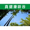 黃仙古洞辟谷在哪里——《洛陽辟谷》